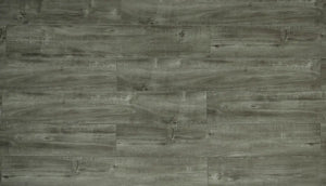 Toucan Laminate Flooring TF63 Series 7.7'' x 48'' (TF6313-F) TOUCAN